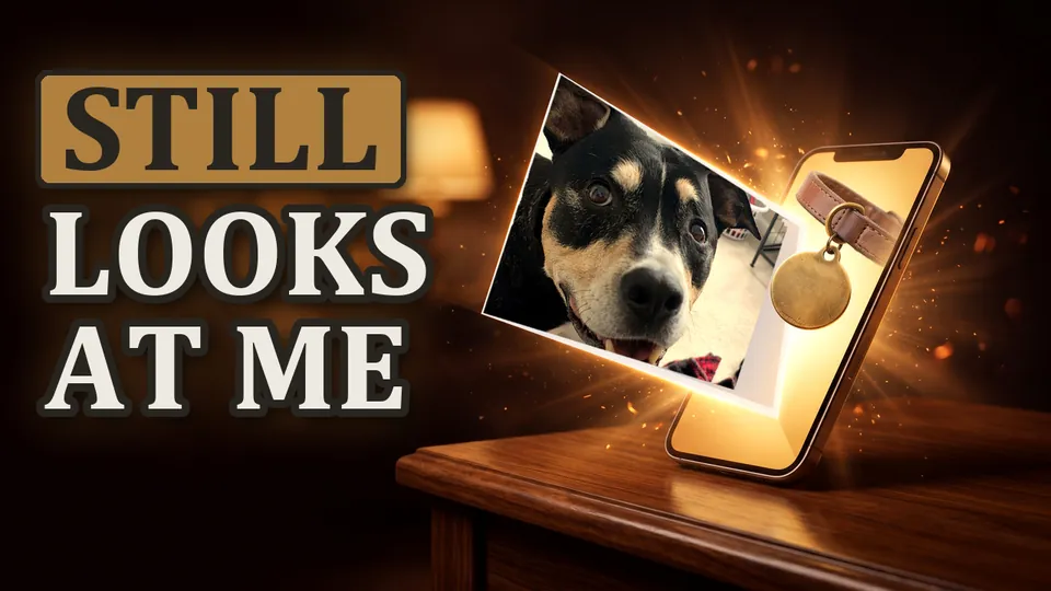 STILL LOOKS AT ME in bone serif type, a real dog photo breaking out of a glowing phone on a lamp-lit table